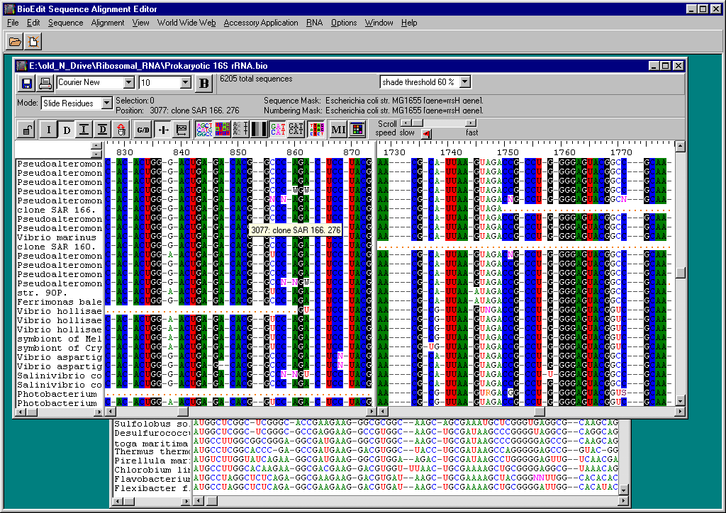 bioedit-gui